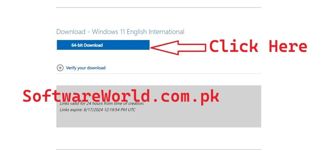 Windows 11 download 1