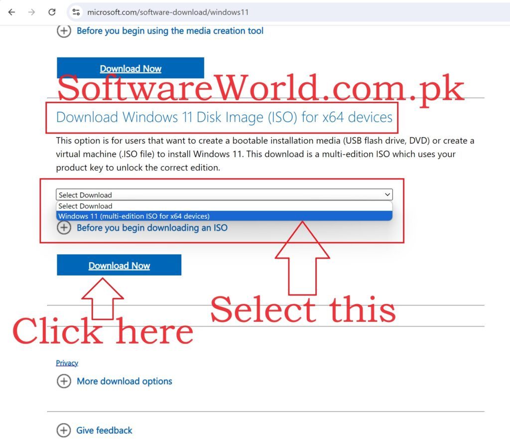 Windows 11 download 2